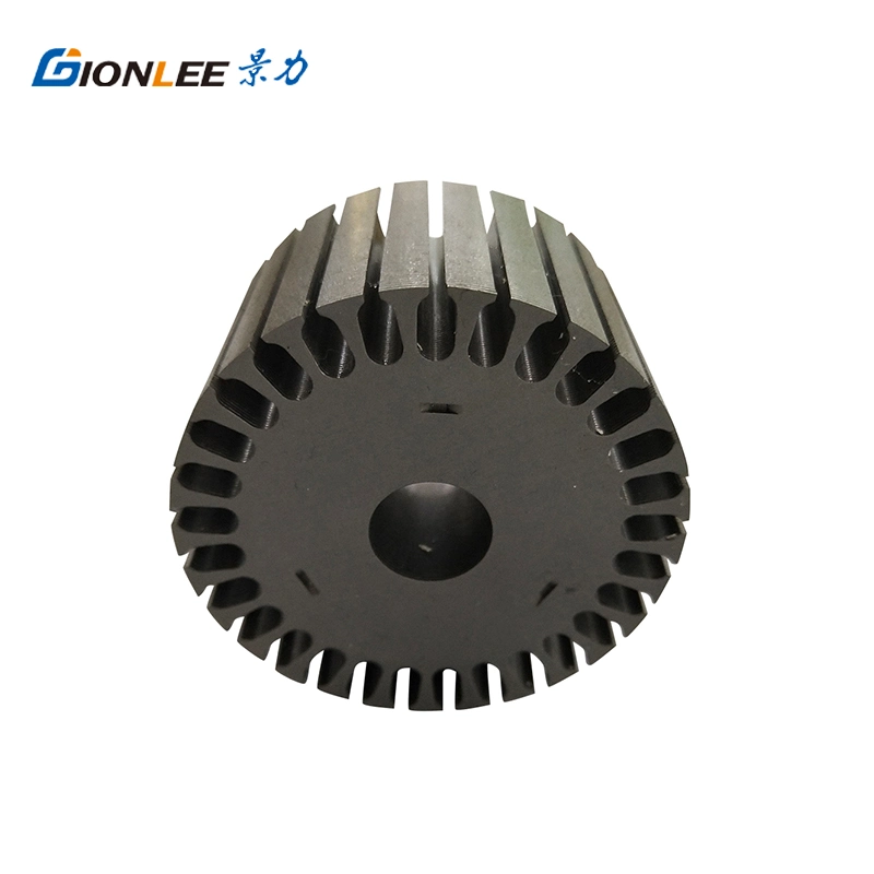 OEM Customized Silicon Steel Stator and Rotor