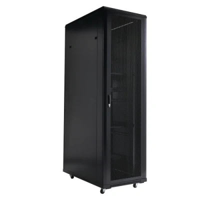 19 Inch 42u 45u 48u Colocation Wide Standard Data Floor Network Cabinet Steel Server Rack Enclosure