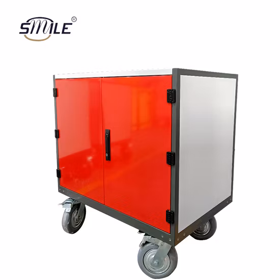 Smile Custom Factory School Garage Sheet Metal Tool Cabinet